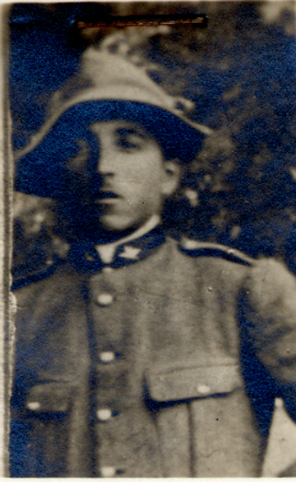 Font: Associazione Italiana di Combattenti e Volontari Antifascisti di Spagna (AICVAS); Istituto Nazionale Ferruccio Parri. Data Spanish Civil War : oggi in Spagna domani in Italia : banca dati delle biografie dei volontari italiani antifascisti.