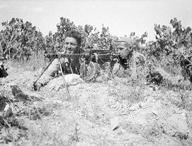 ALBA - Abraham Lincoln Brigade Archives. Database Volunteers COON, John