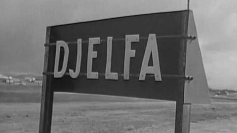 Camp de Djelfa (Algèria)